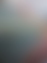 Authoritarian Capitalism