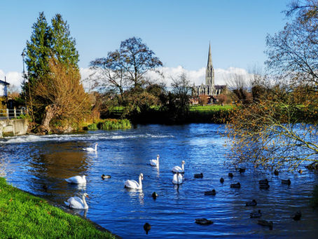 Wiltshire Local Plan