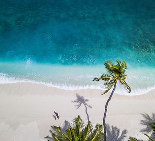 Image by Nattu Adnan