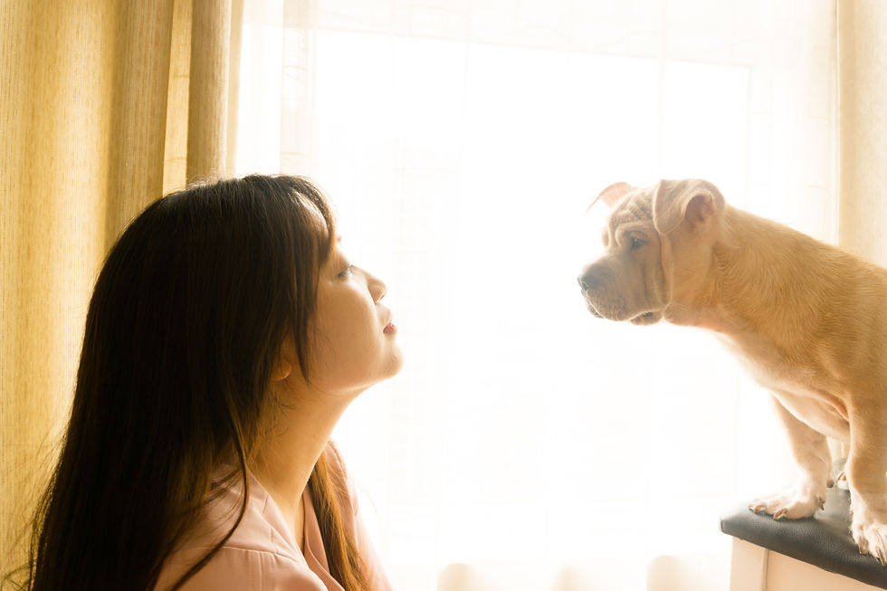 lady talking to her dog whilst the dog listens dutifully