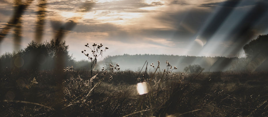 Öykü- Levent Berkay- Döngele