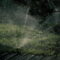 Image by Maxim Tolchinskiy