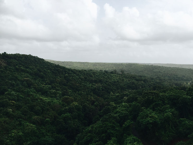 forested hills with clouds in sky
