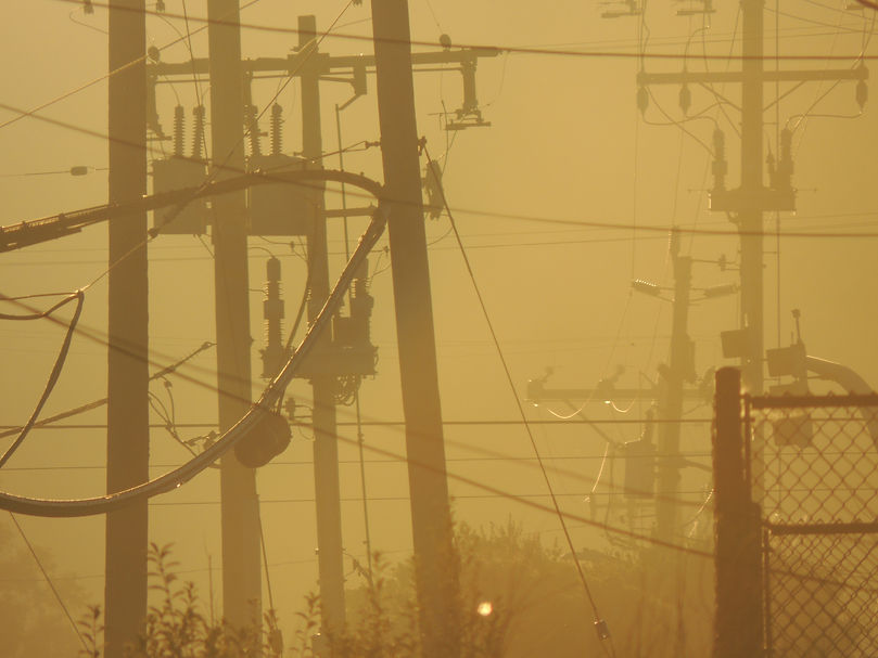 Image by Noah Boyer