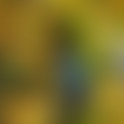 5 Things to Do in Germantown and Mount Airy