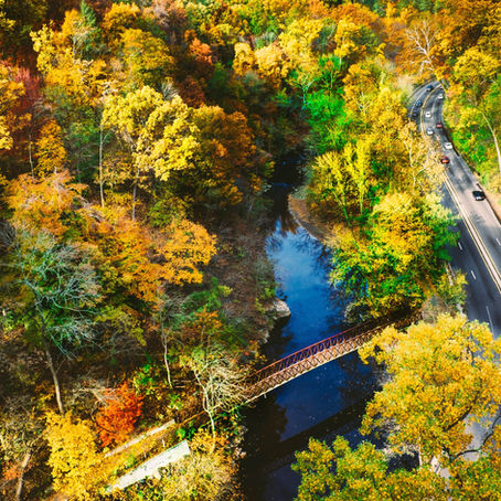 5 Things to Do in Germantown and Mount Airy