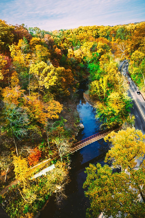 Gestalt and mindfulness therapy. Gender affirming therapy in Pennsylvania. EMDR therapy for complex PTSD in Pennsylvania.