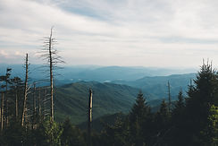 Image by Wes Hicks