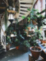 Plant Therapy