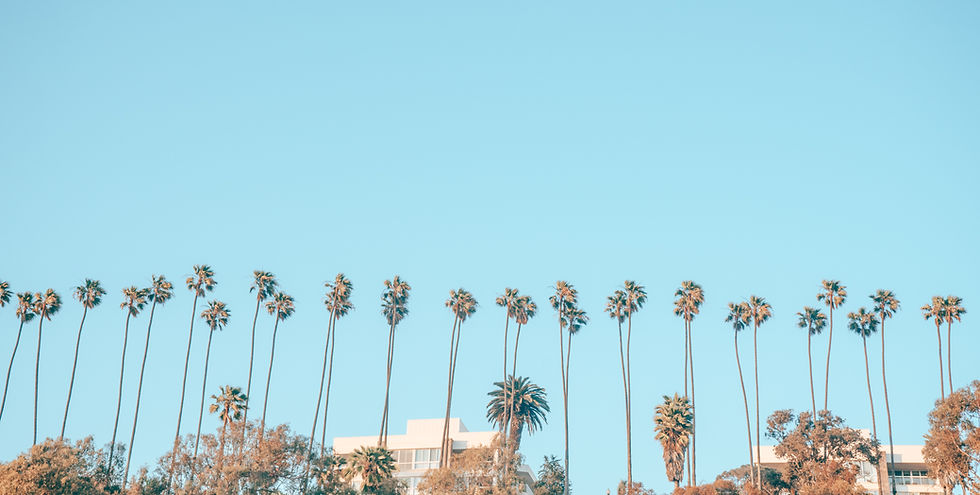 Image by Lauren Richmond