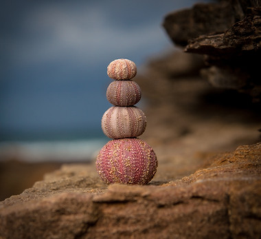 Image by Photoholgic