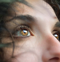 Image by Marina Vitale