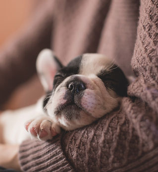 Image by freestocks