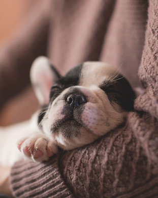 Image by freestocks