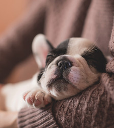 Image by freestocks