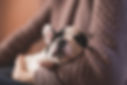 Image by freestocks