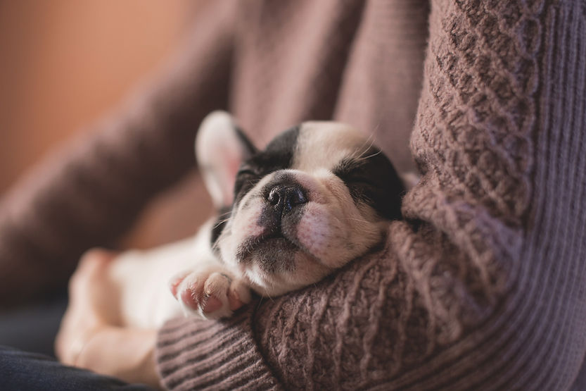 Image by freestocks