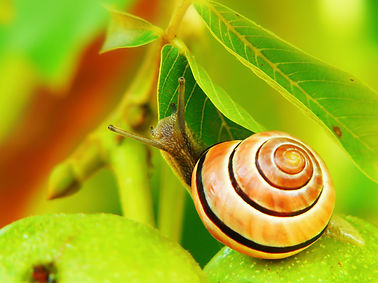 Image by Krzysztof Niewolny