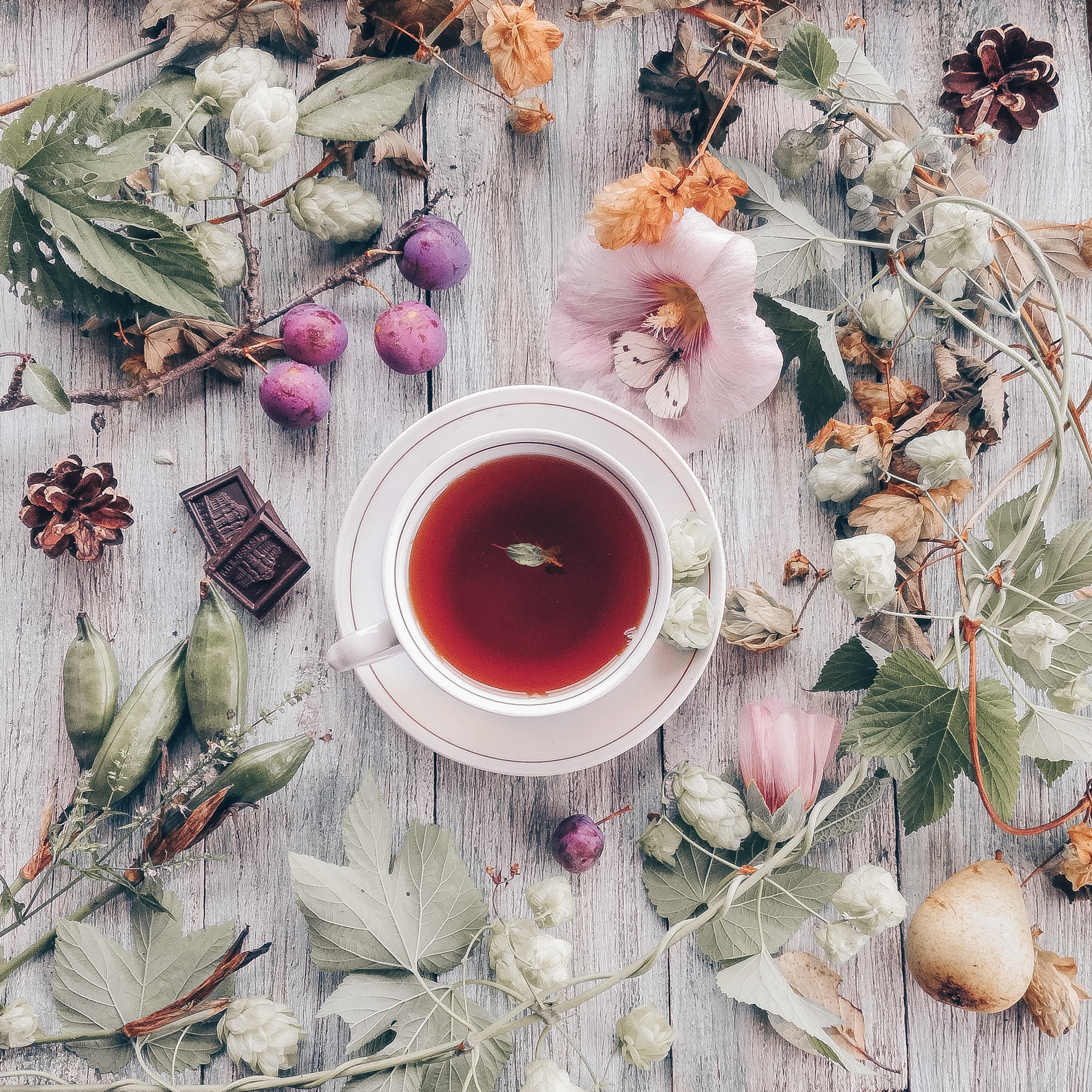 Hibiscus Tea cup with red tea on a rustic wooden table, surrounded by flowers, leaves, chocolate, and fruit in soft, muted tones, creating a serene mood.