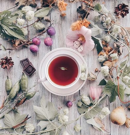 Image by Lidiya Pavlikova