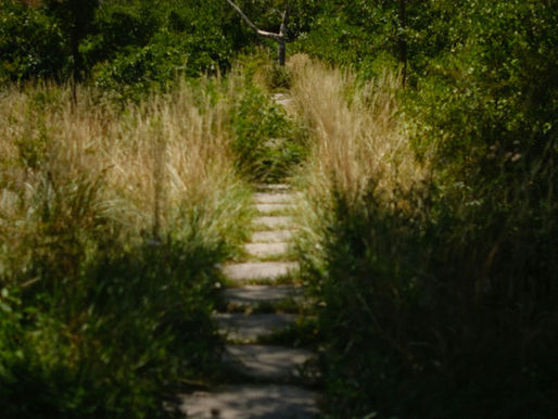 soft overlapping light symbolizing recognition of past lives and soul memory