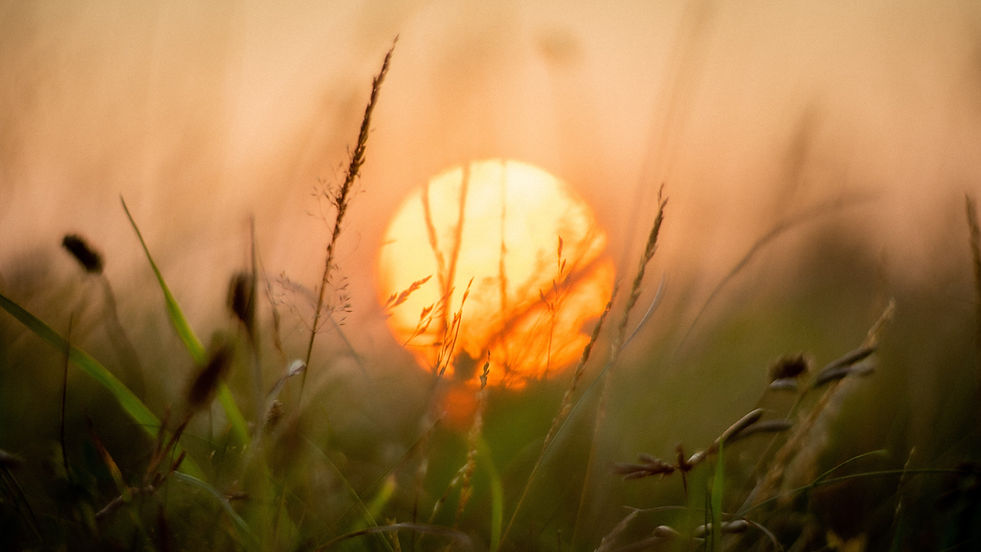 Image by Ainsley Myles
