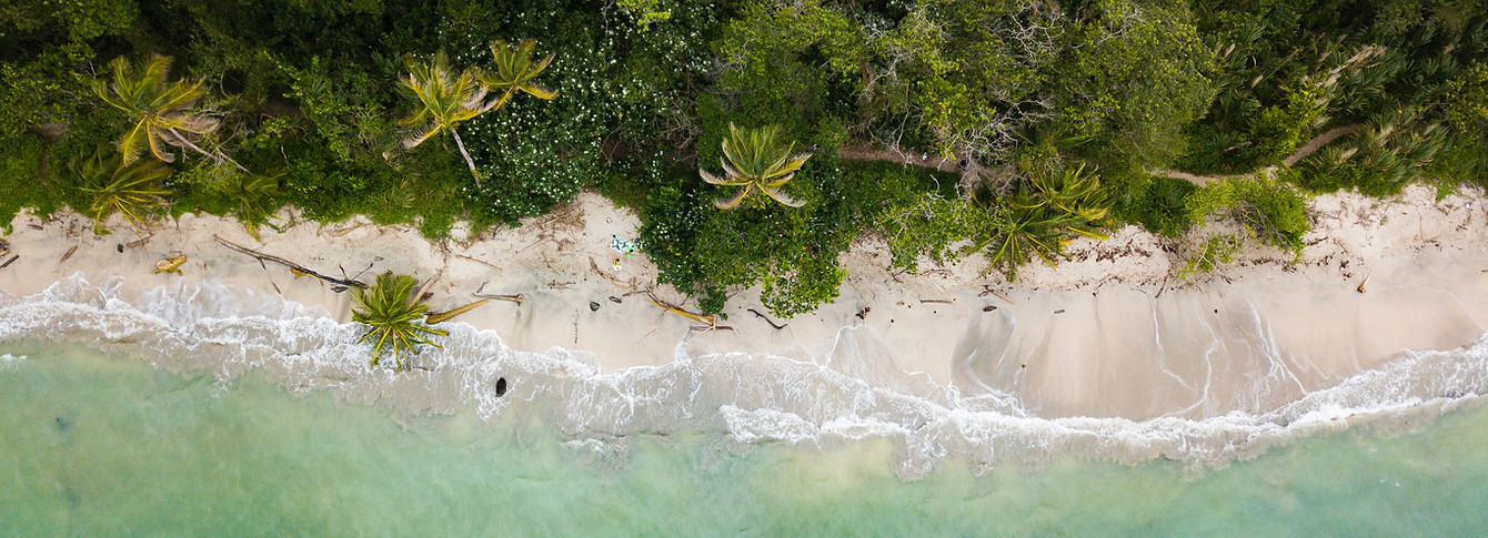 Image by Berti Benbanaste