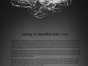The Human Brain