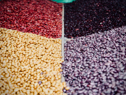 Equinom and Peterson Farms Seed Partner to Scale Up Production Of New Plant Protein Ingredients