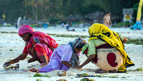 Zanzibar Spice Tour