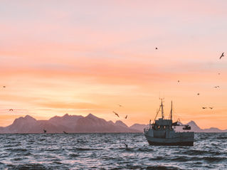 We found 5,581 leads with a simple prompt