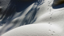 Spuren im Schnee