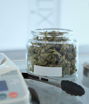 Medizinisches Cannabis