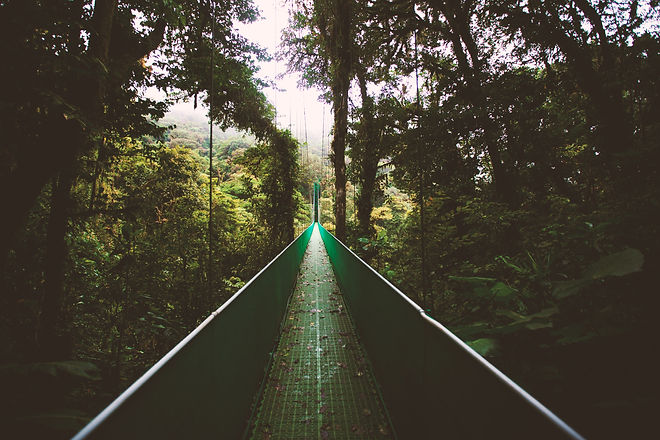 Image by Ben Ostrower