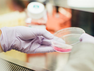 ph level testing