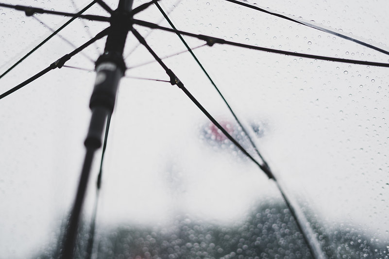 Image by Takehiro Tomiyama