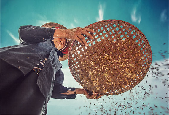 Image by TUAN ANH TRAN