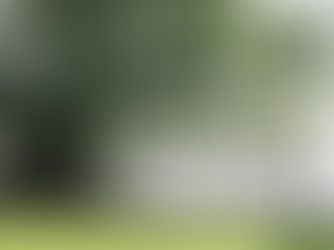 The Economic Perspective - 02.26.2021