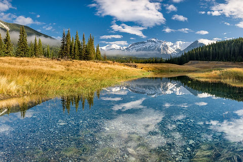 Image by Sergey Pesterev