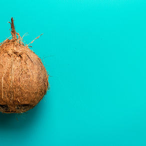 The Coconut