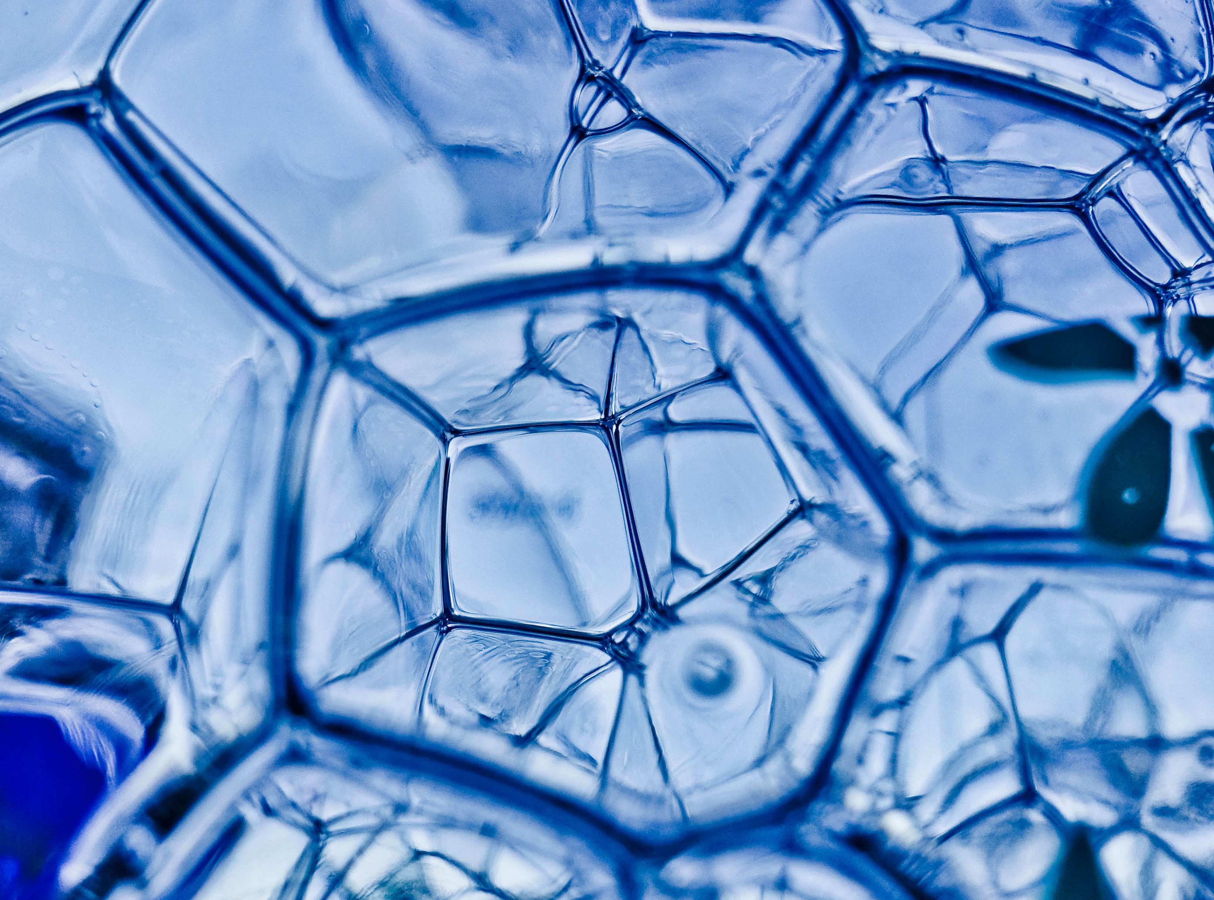 Nanopartículas supramoleculares revierten el Alzheimer en modelos animales,     abriendo puertas a terapias innovadoras