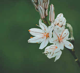Image by Aziz Acharki