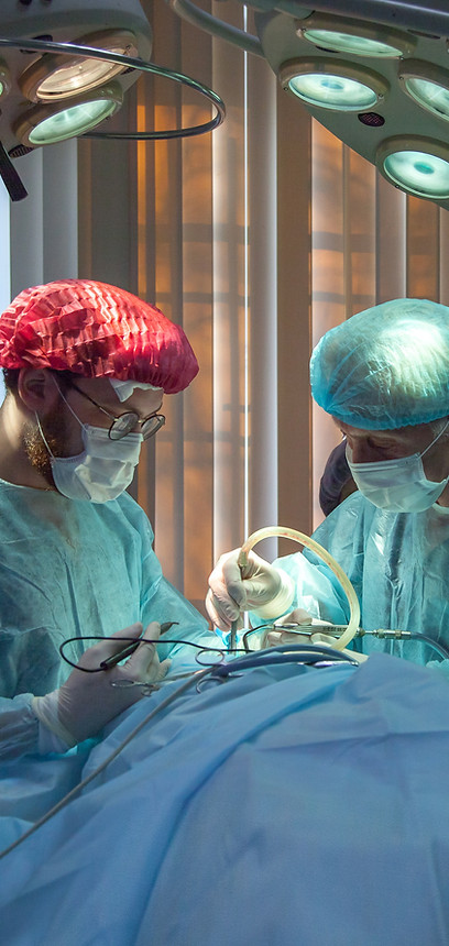 Image by Olga Guryanova