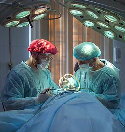 Image by Olga Guryanova
