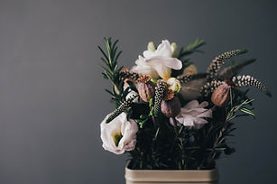 Image by Annie Spratt