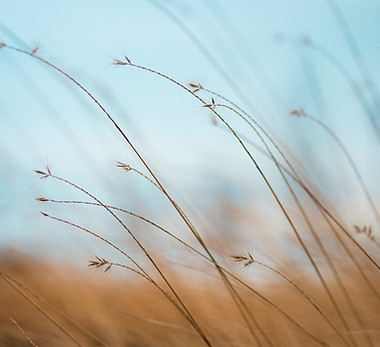 Image de Aaron Burden
