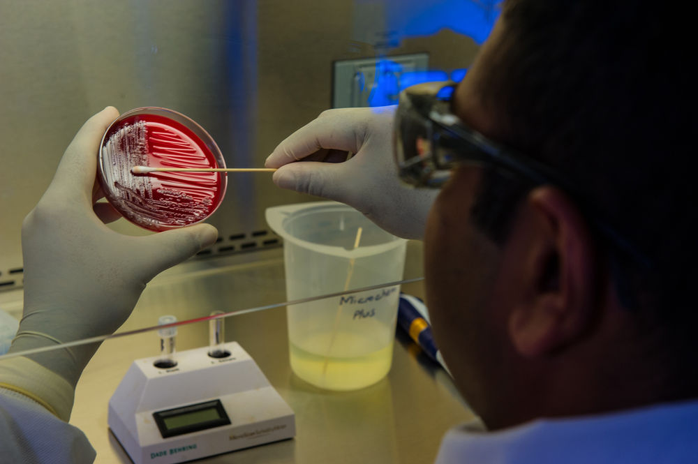 Solano County Public Health Microbiologist