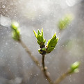 Image by Jonas Kaiser