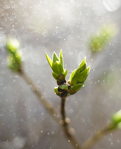Image by Jonas Kaiser