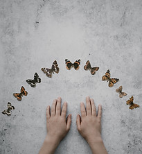 Image by Annie Spratt